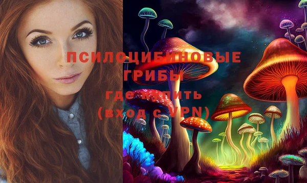 мяу мяу мука Покров
