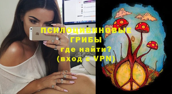 стафф Покачи