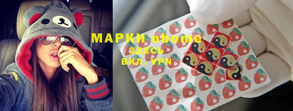 стафф Покачи