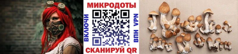 Псилоцибиновые грибы прущие грибы  Ноябрьск 